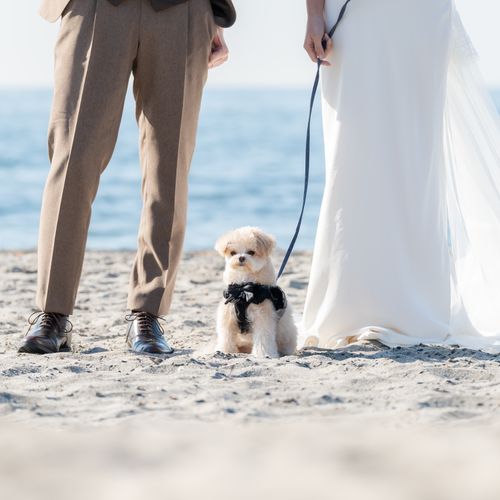 SUNSET BEACH PARK WEDDINGの公式写真2枚目