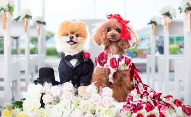 浜名湖レークサイドプラザの公式写真3枚目