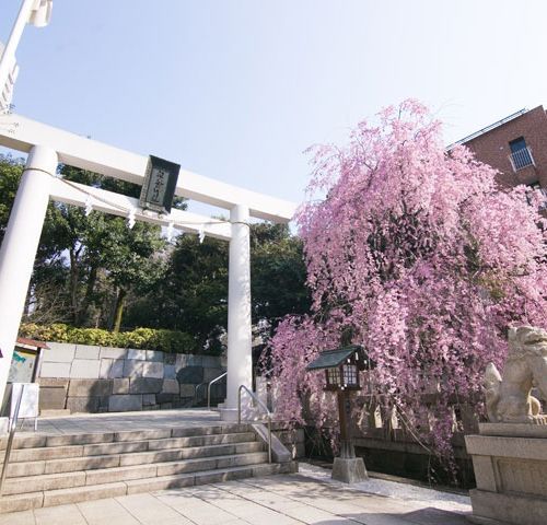 乃木神社の公式写真2枚目