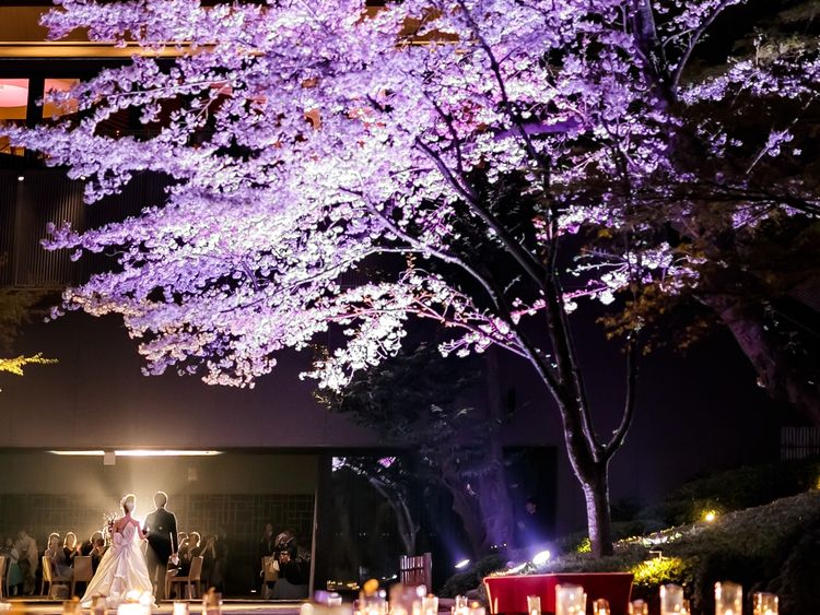 a.o._.famさんのカバー画像