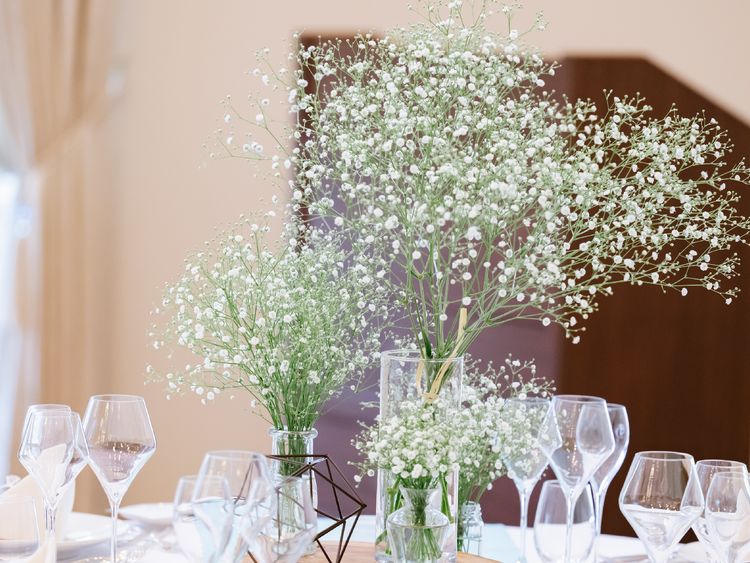 じゅらさんのカバー画像