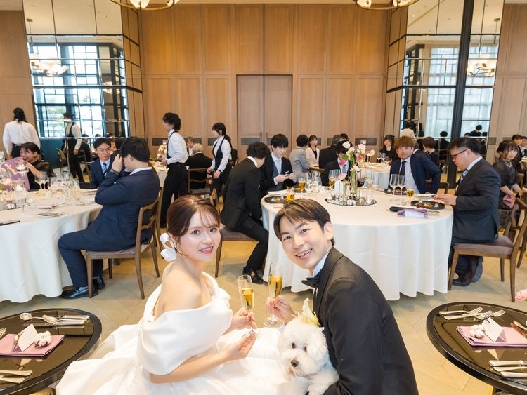 powder_kimpton2511さんのカバー画像