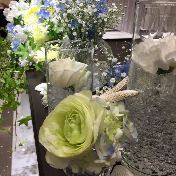 さりげなく貝殻も