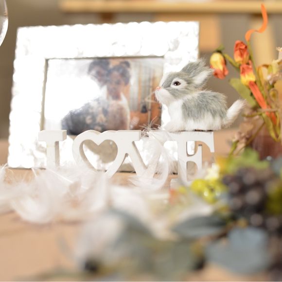 私の飼っているうさぎも何かの形で残したく。