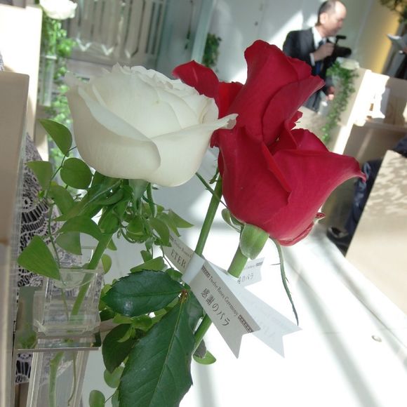 12本のバラのセレモニー🌹✨
参列者の方に1本ずつ渡してもらいました☺️💓✨
感謝、誠実、情熱、愛情、栄光、永遠
真実、努力、尊敬、希望、信頼、幸福