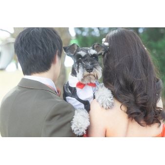 【愛犬も主役】リングドッグなど愛犬と叶えるペット婚相談会☆