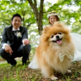 【ペットと一緒に】大切な家族と叶える結婚式相談会