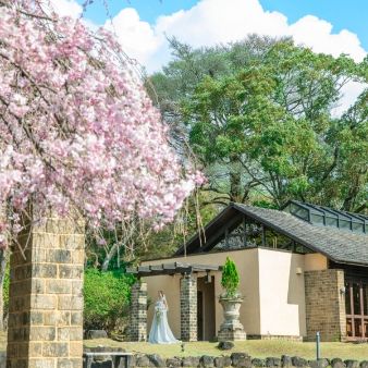 会場イチオシ桜満開フェア◇最大130万優待＆春を感じるコース試食＆貸切見学