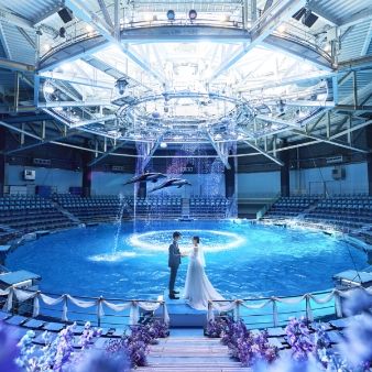 ＼イルカと叶える／品川オリジナルの感動挙式＆豪華試食フェア