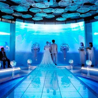 【新春お年玉特典】ギフト5千円×豪華試食×最大175万円特典