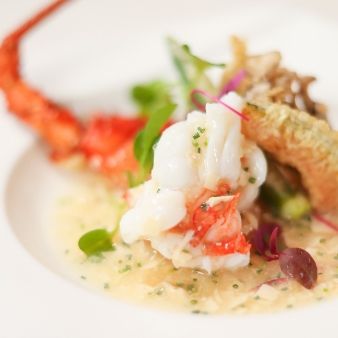 【土日に負けない】お肉と鮮魚でメインが選べる無料コース試食