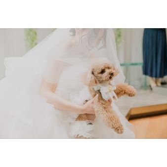 【愛犬も主役】豪華試食×一軒家貸切！ペットと彩る自由な結婚式