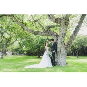 【5月～8月ご検討の方へ！】緑豊かな日本平でフォトウェディング