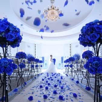 《90分で体感》短時間で当館の魅力をお届け♪