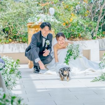 【わんちゃん大歓迎】初めてでも安心。愛犬との結婚式相談フェア