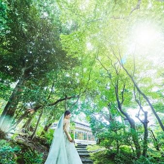 『お料理でおもてなし』期間限定の桜ランチ（有料）も同日紹介！