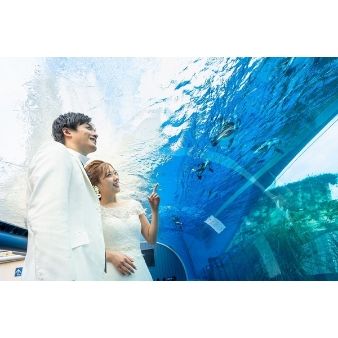 お盆BIG★地上210m★選べる３つの絶景レストランW★水族館挙式♪