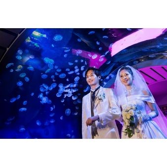 お盆BIG★地上210m★選べる３つの絶景レストランW★水族館挙式♪