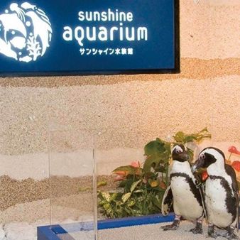 【年内挙式なら】空と海の融合★人気絶景レストラン＆水族館挙式