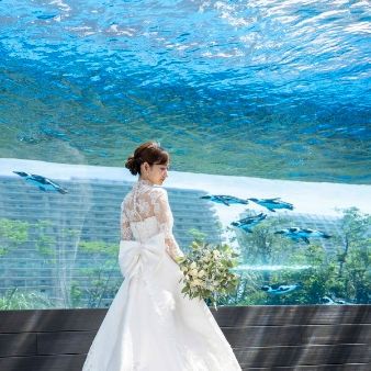 【直前予約OK】クイックフェア◇空飛ぶペンギンも見学×相談会