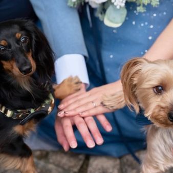 【愛犬と一緒に♪】オワゾブルーで叶えるペット婚フェア