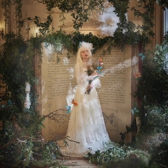 【組数限定】世界観から創るオーダーメイド結婚式相談会