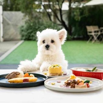 \ペット婚相談会♪/大切な家族と過ごすプライベートWD