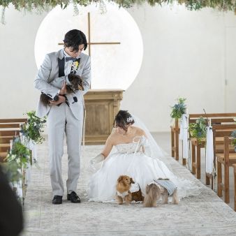 【愛犬と歩くバージンロード】リングドッグ演出相談＆コース試食