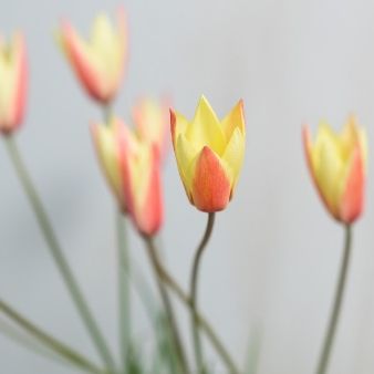 気軽に参加して☆彡ウエディングの扉を開く60分！クイック相談