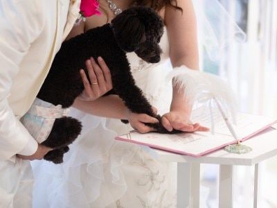 【ペット婚】大切なワンちゃん★ネコちゃんと叶える結婚式