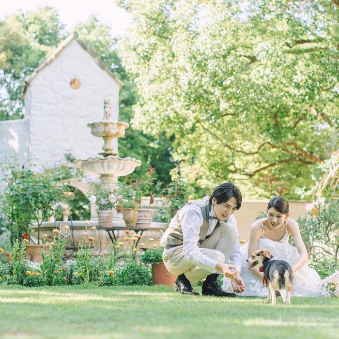 ≪ペットもOK！≫一緒に叶える☆貸切だから安心のゲストハウス＊開放的な南仏ガーデンとフレンチもチェックしよう