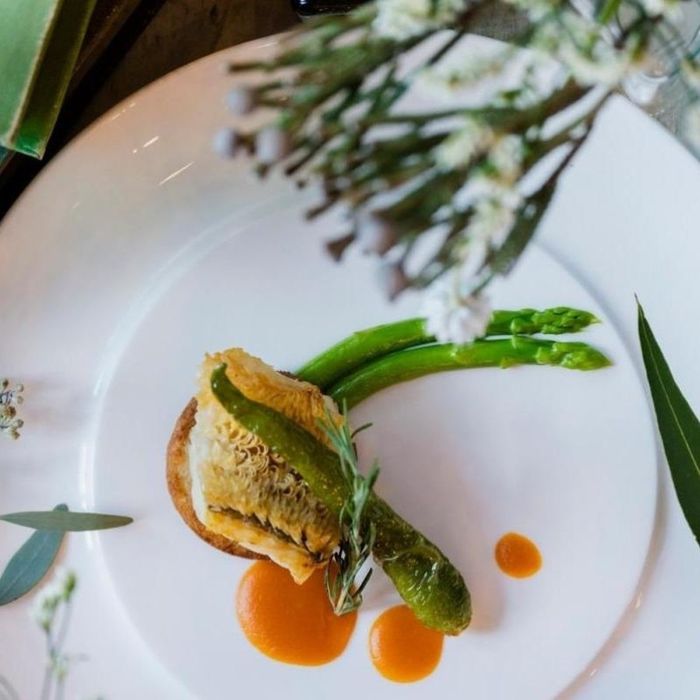 【平日限定】豪華試食付＆森のリゾートでアットホームW体験