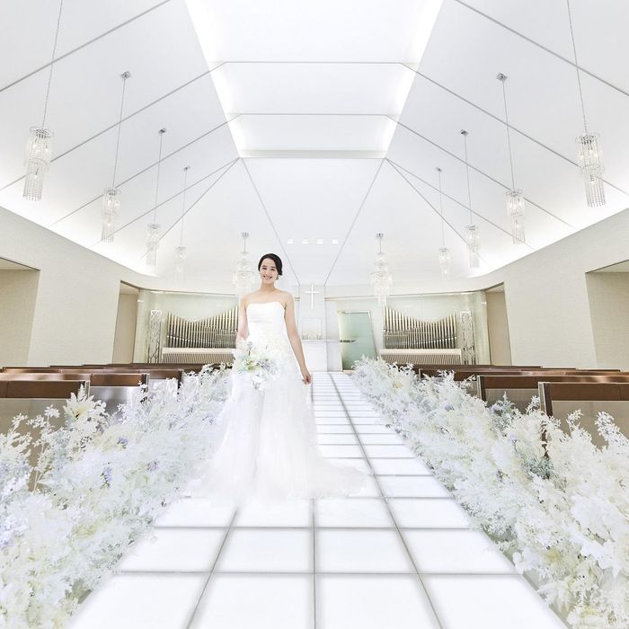 【初見学で挙式料*全額OFF】豪華！無料試食付まるごと安心相談会