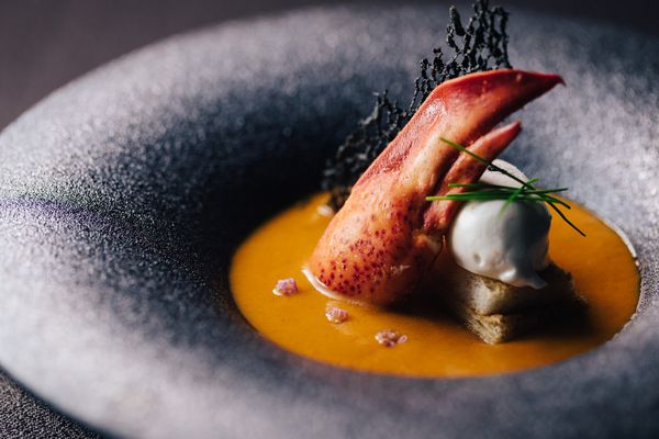 【3組限定】ゲスト満足度◎\三ツ星シェフ★厳選コース料理*無料試食!/