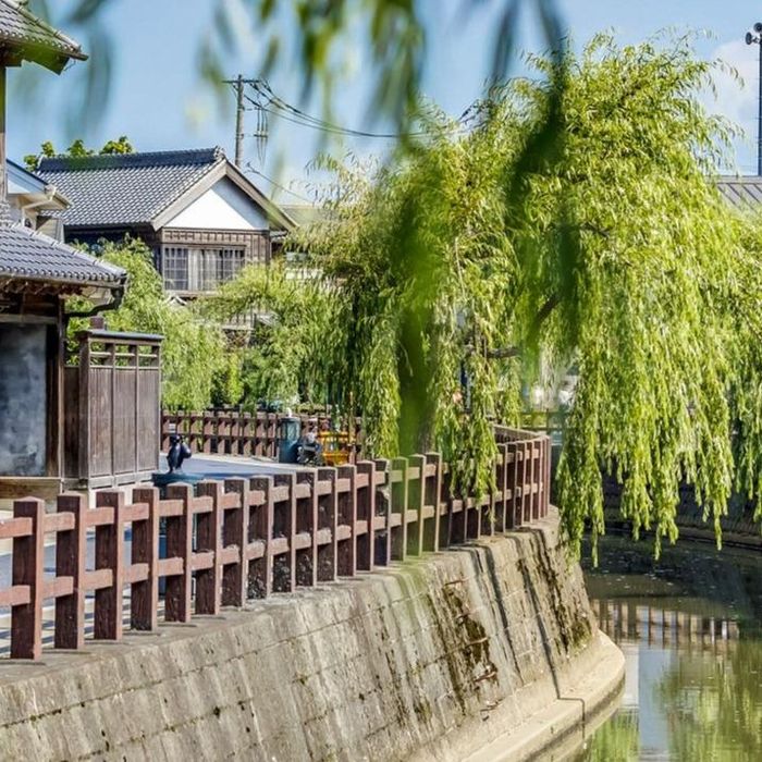 【オンライン開催】時期や人数にお悩みの方も◎おうちで1st STEP相談会