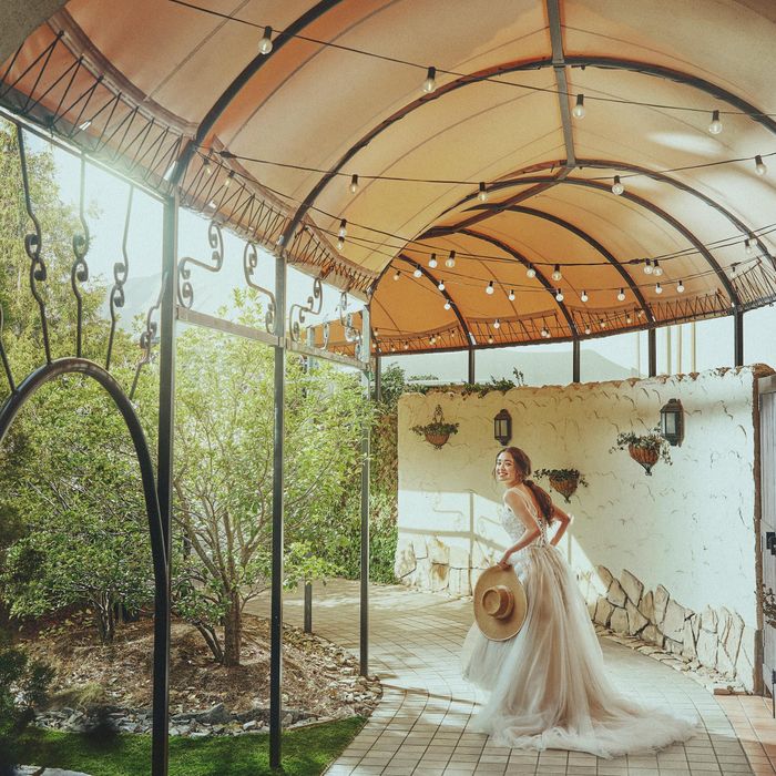 GW限定*人気のドレス見学*3万相当コース×最大90万円優待