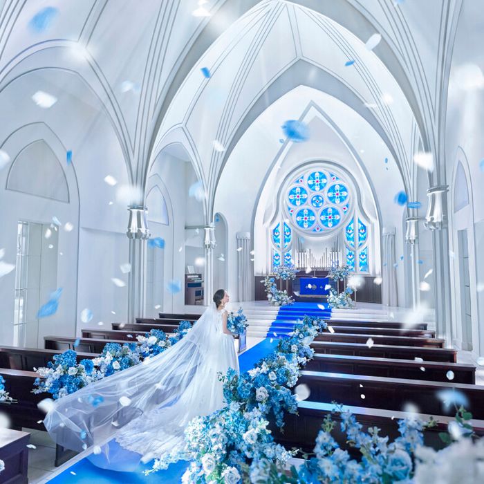 残1*秋SP＼Amazon1.5万*160万優待／聖青の大聖堂＆試食◆ALL体験