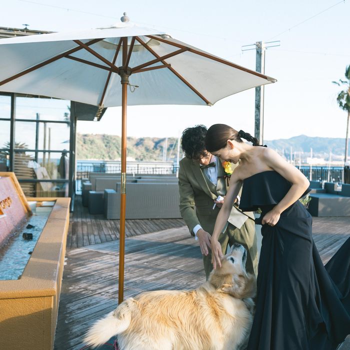 【ペット婚OK◎】愛犬と叶える貸切ウェディング相談会