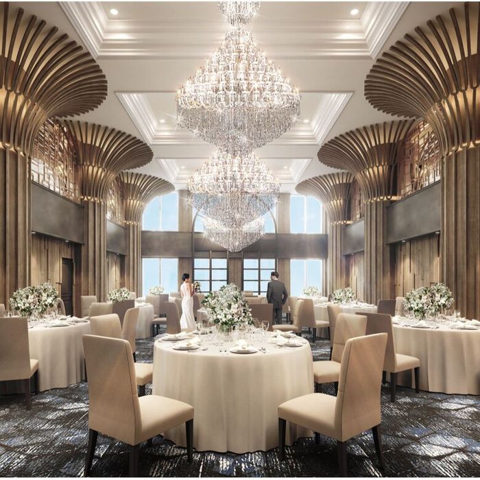 Valentine限定＼26年2月新会場誕生／洗練された空間美×4万試食