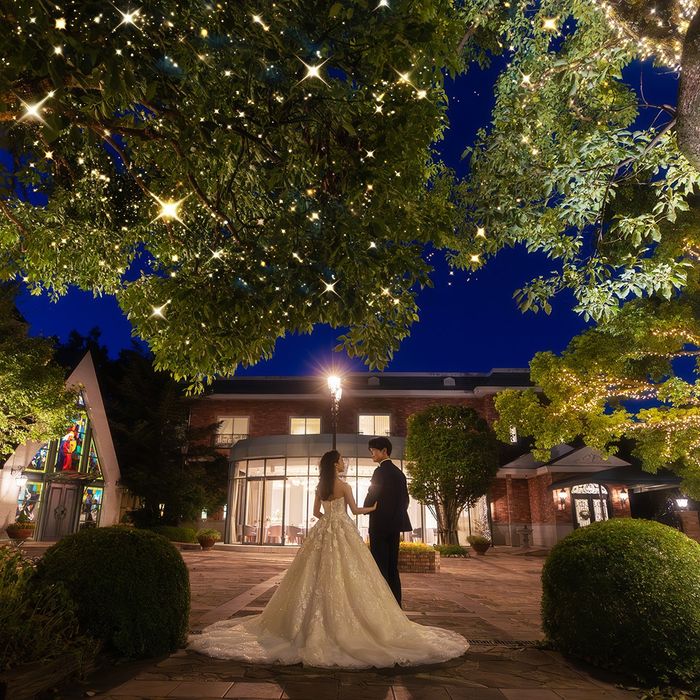 夜限定☆彡森×光が彩る貸切邸宅で味わう【 豪華ディナー体験 】