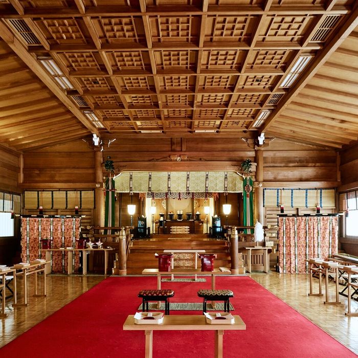 【明治神宮の杜を体感】明治神宮見学×レストラン食事券付フェア