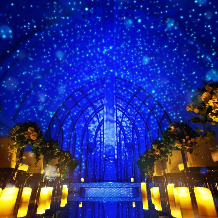 【ギフト2万付】厳選和牛*4万試食×ドレス見学×140万特典