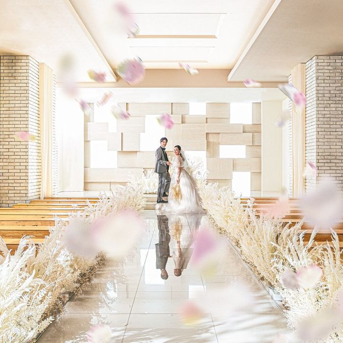 【初見学に◎】花嫁まるごと体験×ドレス1着全額OFF×絶品試食