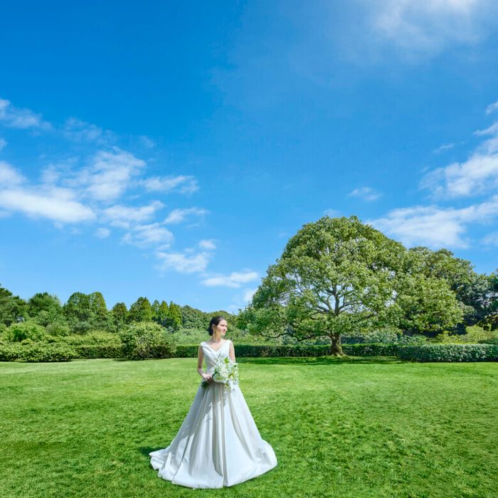 【1件目は2万ギフト付】最大150万特典×豪華4万試食×感動挙式