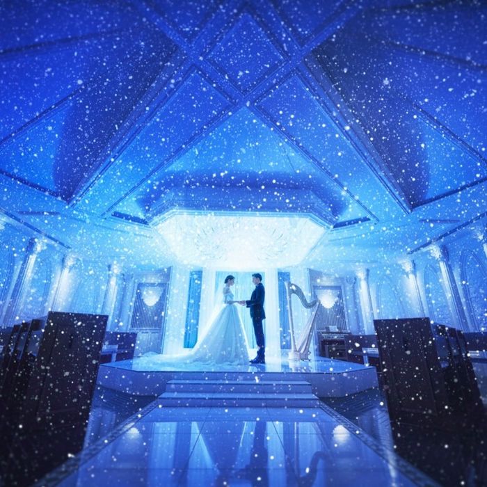 ＼Xmas限定*／憧れALL体験×Specialデザート*BIG特典付