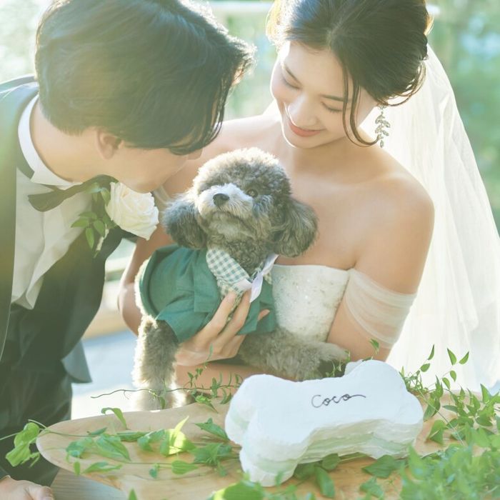 《挙式から披露宴までずっと一緒★》自由度抜群♪ペット婚相談会