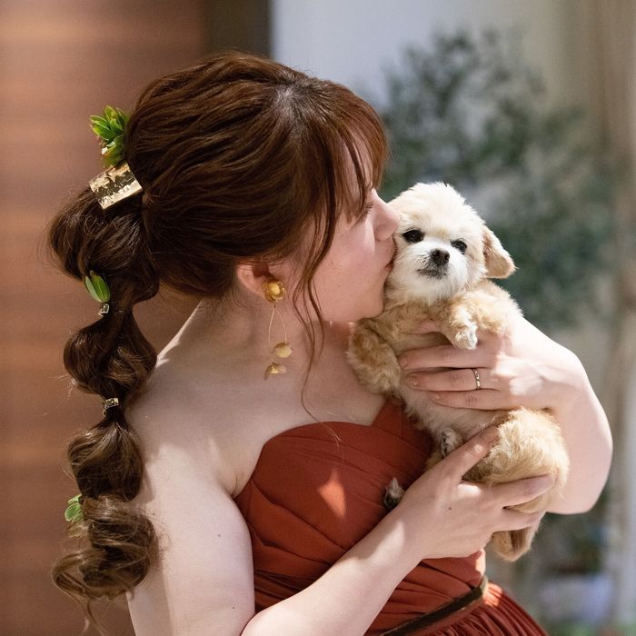 【披露宴会場も可能】◆大切なペット参加できるわんにゃん相談会