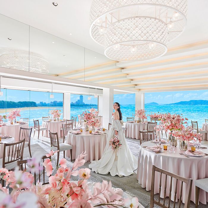 ［初見学に］当館支持率No.1海上リゾート×圧巻大聖堂×厳選試食