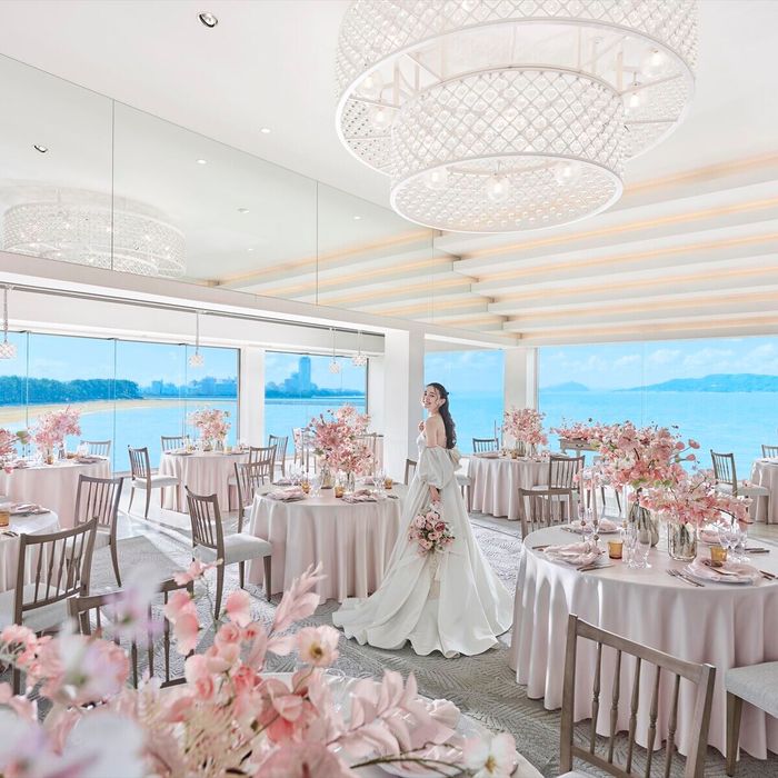 【空と海の絶景W】見学で最大3万分カタログギフト券★糸島フレンチ6品コース無料試食×豪華ドレス特典！