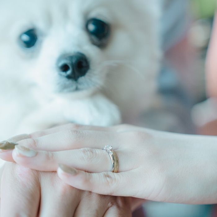 【ペットと一緒に貸切W】リングドッグ＆専用衣装など12大特典付